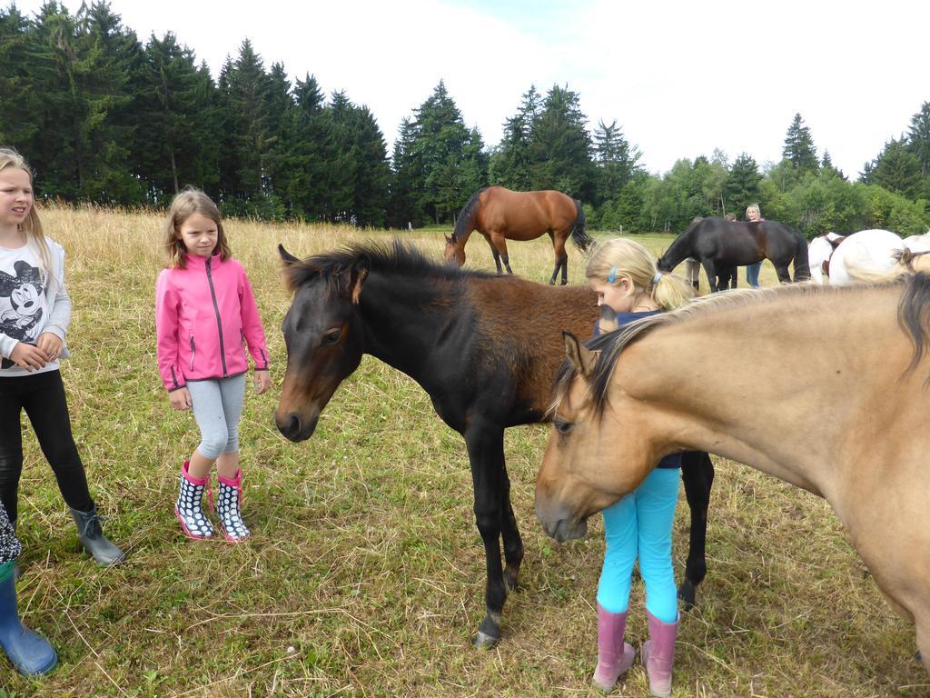 Espi-Stables Ferienhof Esterhammer Liebenau  Værelse billede