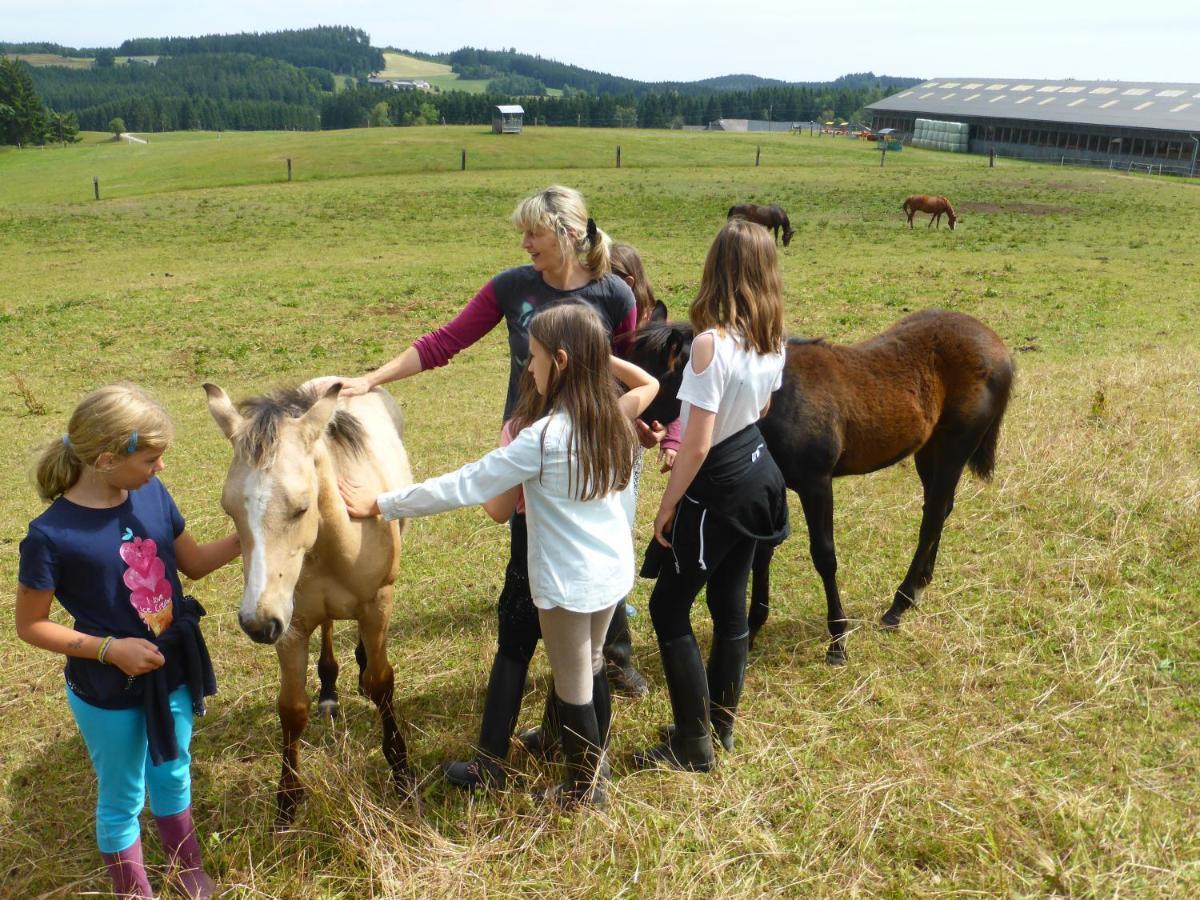 Espi-Stables Ferienhof Esterhammer Liebenau  Eksteriør billede